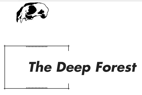 couverture de The Deep Forest - un crâne